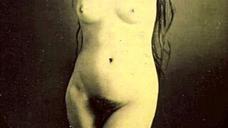 Dark lantern entertainment presents a golden age of pornography