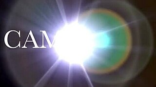 See how a hot couple enjoys oral and vaginal sex on webcam