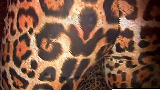 Sexy Dani Daniels fingers her tight wet pussy 😍