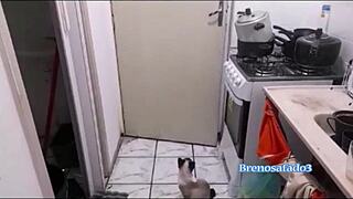 I went to sp and ate wolverine's ass erotic massage it's unbeatable complete on xred