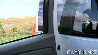 gratifying blowjob session with a gay buddy