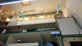 This crazy girl flashes upskirt at work for quick cash