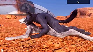 Alpha wolf in hot action with a beautiful she-wolf in the great outdoors