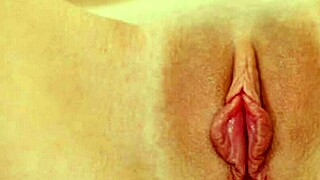 Close-Up Pussy Views at 00 Pussies Per Minute