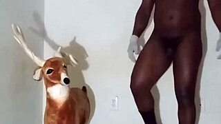 Exploring zodiac patience in various poses