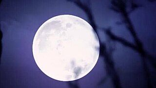 hey, check out emily thorne in this sexy halloween special! 🎃