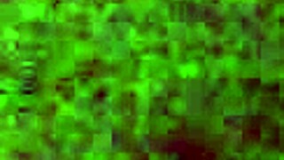 Guys making love in hot scenes