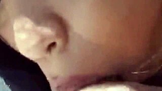 project 002 featuring intense cock sucking action