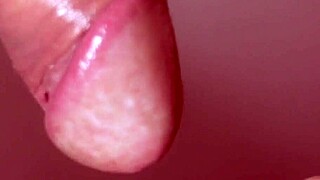 Uncensored Japanese Blowjob with Beautiful Cutie in Close-Up Action