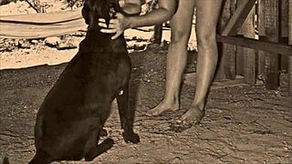 dark lantern entertainment presents from my secret life the erotic confessions of a victorian english gentleman