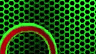 Gabby Quinteros masturbates nipples