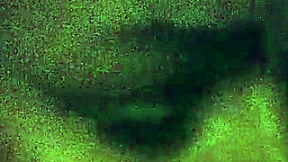 Ex Heather Moore Provides Intense Blowjob With Gagging Choking And Deepthroat Action.