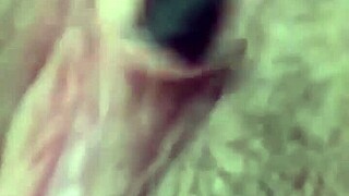 Is My Hot Latina Girlfriend Wet And Ready?