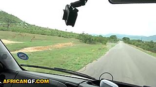 Gorgeous ebony girlfriend deepthroats boyfriend's big cock on wild interracial safari date