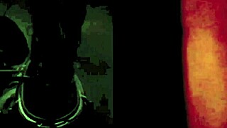 What a Vintage Glimpse! Dark Lantern Presents the 19th Century Diaries!