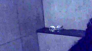 asian wife, are you a slut masturbating with dildo in gym shower?