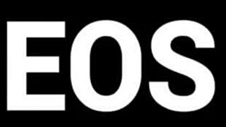 Latina Wife Blows Alpha Male On Beach.