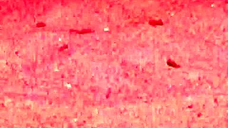 Candid On Little Slut At Beach!