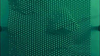 I Scream Harsh Noise During A Pop Song In California