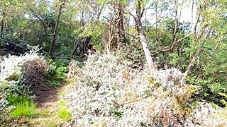 I Lick All The Cum Off Sugardaddy's Cock On Secret Beach!