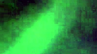 sucking that dick with tattoo. amateurs blowjob on cock.