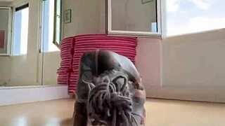 anuskatzz shows off her athletic body in this exotic pole dance compilation with heels and assfucking highlights