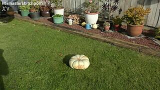 kiwi trashy milf squats on a huge pumpkin like a toilet in the backyard dirt
