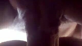 afroking - she craves my hard backshots i slam her relentlessly 😈🍑