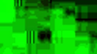 oh gosh i love ridin this horse on the trail with friends its so fun and free