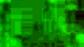 oh gosh i love ridin this horse on the trail with friends its so fun and free