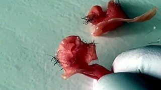 Armpit and nose waxing depilation process