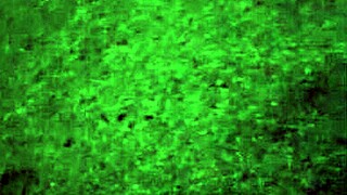 Watch D Sluts Flashing Boldly During Outdoor Trick or Treating Public Fun!