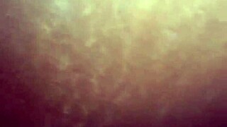 yo that jamaican bbc is pounding this miami haitian chick's pussy and ass hard