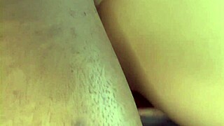 busty nikara sucks big cock then assfucks