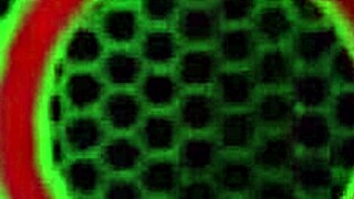 milf sara jay fucks orange dildo