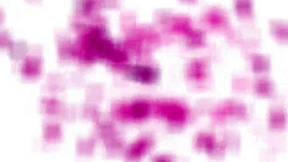 Teen learns rimjob skills on monster cock with deepthroat action