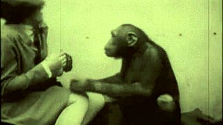 Ever wondered about that vintage hairy pussy getting wild with a pooch in outdoor retro action?