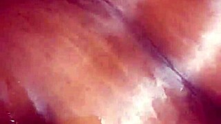 fat dick willy bends over for doggystyle monster cock pounding in tight pussy