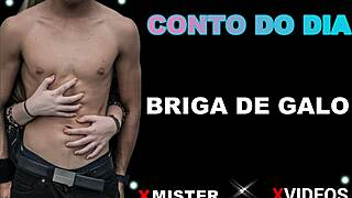 briga de galo in brazilian amateur style