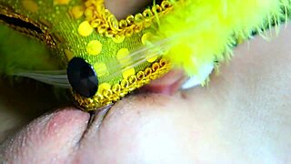 Japanese housewife in cosplay gets anal fisting and creampie from POV licking and squirting session.