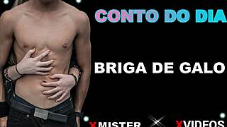 briga de galo in brazilian amateur style