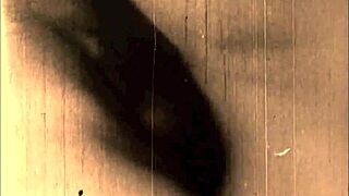 Exploring antique retro vintage art with hairy beaver themes in erotic style