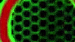 dialogic-provocative sara jay shakes that cougar ass, wanna see her finger that pussy?