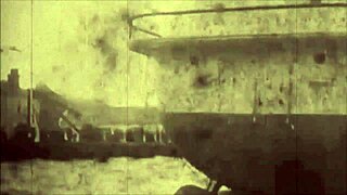 Exploring antique retro vintage art with hairy beaver themes in erotic style