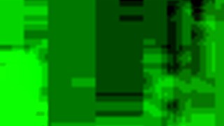 slip and slide adventure