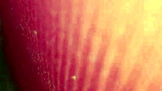 thand me garam chut ki chudai with hindi audio