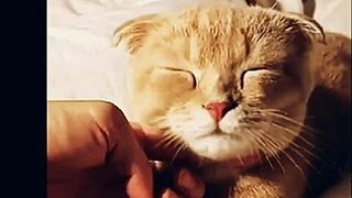 Check out my YouTube channel Make69 now!