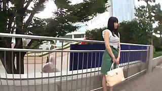 Full Version Link for Asian Amateur Content with Blowjob and Toys Scenes