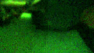 Why Settle for Slim When Fat Booty Tempts with Big Ass Curves