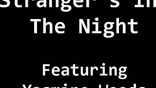 What About Strangers In The Night Yasmine Woods?